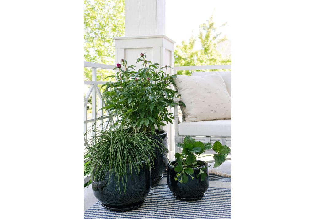Jardinière en céramique noire émaillée, faite à la main avec détail côtelé pour l l'intérieur et l'extérieur