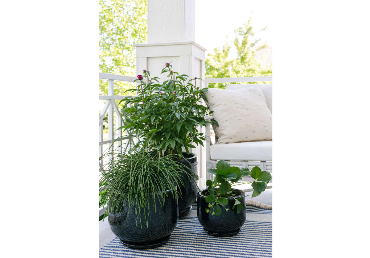 Jardinière en céramique noire émaillée, faite à la main avec détail côtelé pour l l'intérieur et l'extérieur